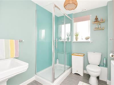 Picture 7